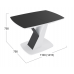 Стол обеденный «Гарда» Тип 1 (Белый/Стекло матовое черный графит)